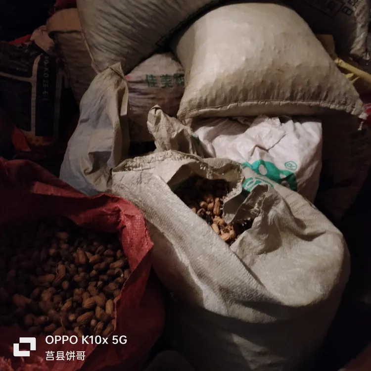 自己家的种的新花生现挑现发，当季新花生。