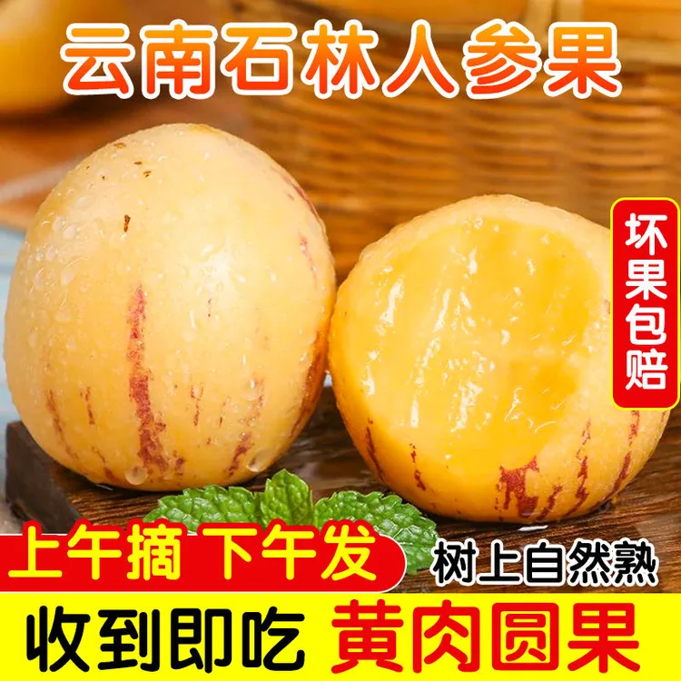 【头茬现摘】云南石林人参果低糖水果圆果新鲜大果黄心黄果圆形