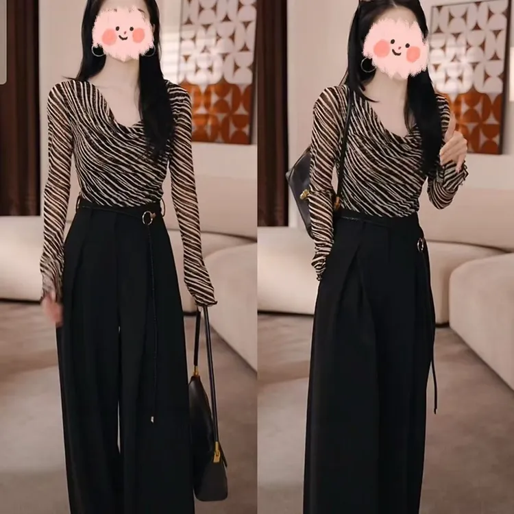 小众设计感斑马纹长袖网纱T恤女2025秋季新款高腰宽松阔腿休闲裤