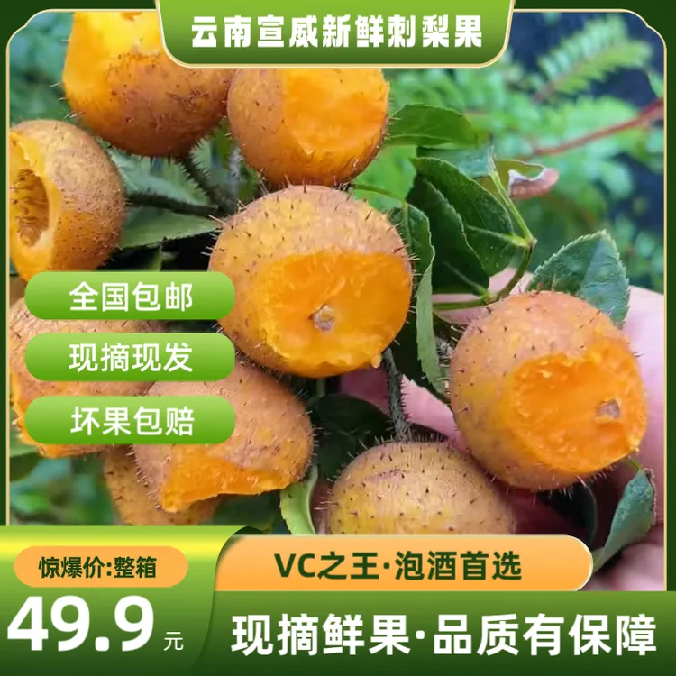 云南宣威海岱特产刺梨鲜果