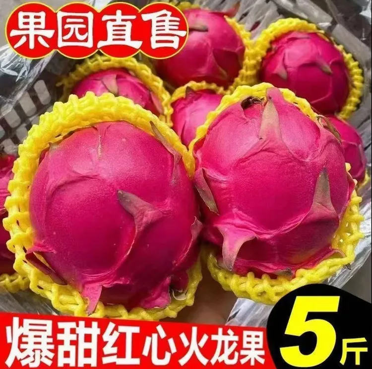 红心火龙果当季新鲜现摘自然成熟皮薄汁多营养代餐水果