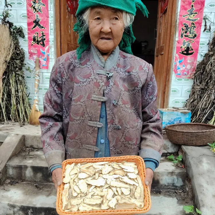 甘肃岷县原产地精选当归头中片油性足含量高