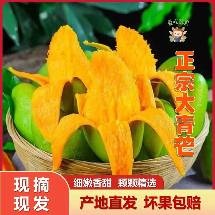 【坏果包赔】云南西双版纳大青芒爆甜多汁产地直发