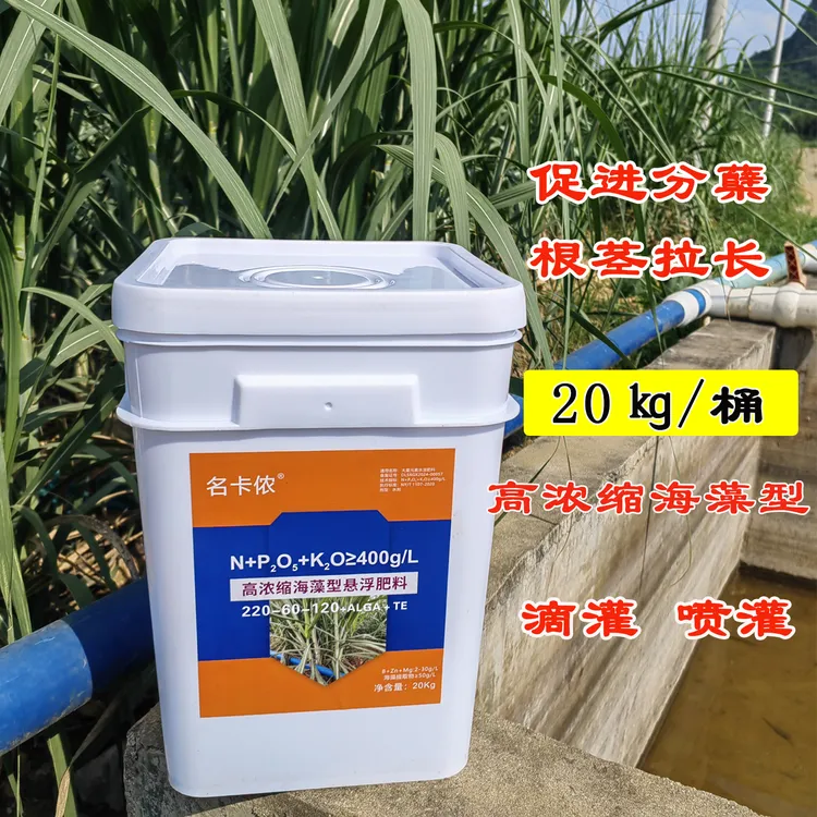 甘蔗喷灌滴管浓缩海藻型水溶肥生根壮苗拉长分蘖茎秆粗壮桶肥20kg