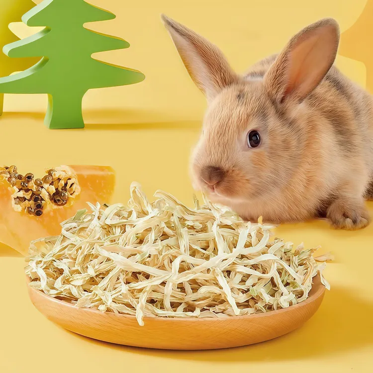天然木瓜丝兔子龙猫仓鼠小零食助排毛调理肠胃无糖无添加