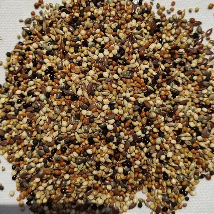 麻料鸟专用混合粮