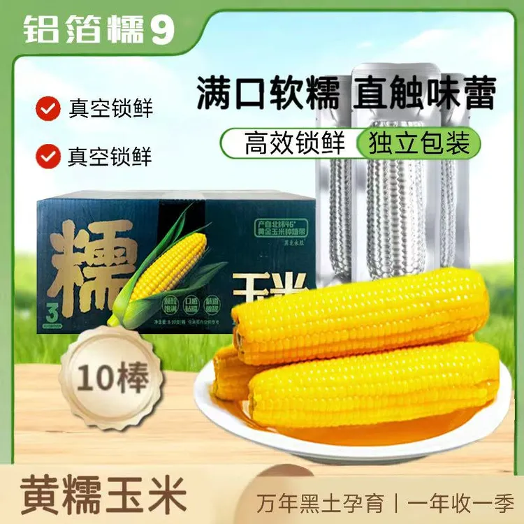 【25年】新鲜黄金糯9东北甜香糯玉米低脂粗粮玉米代餐糯玉米