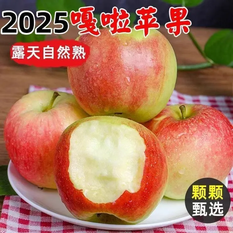 陕西嘎啦苹果新鲜现摘酸甜可口应季水果孕妇解馋