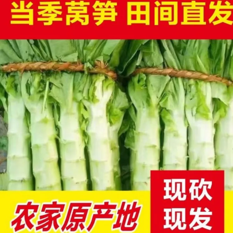 新鲜现砍绿心莴笋莴笋尖莴苣当季时令蔬菜脆嫩爽口农家新鲜蔬菜