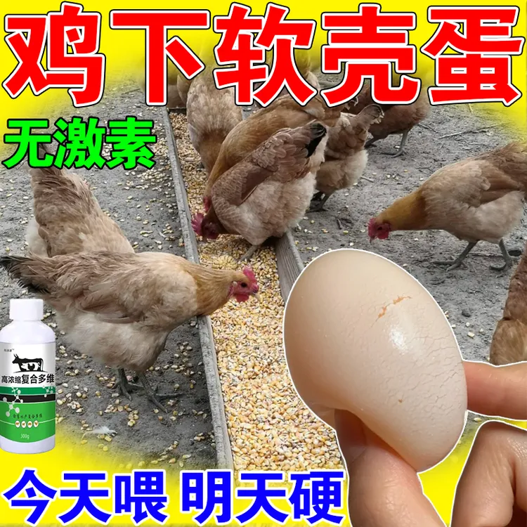 鸡下软壳蛋怎么办母鸡下软蛋沙壳蛋畸形补钙促生长家禽饲料添加剂