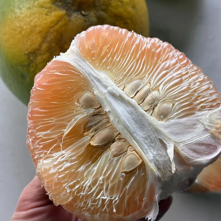 广东翡翠蜜柚【香甜脆嫩多汁】籽大皮硬已辞水放放皮更薄柚子顺丰