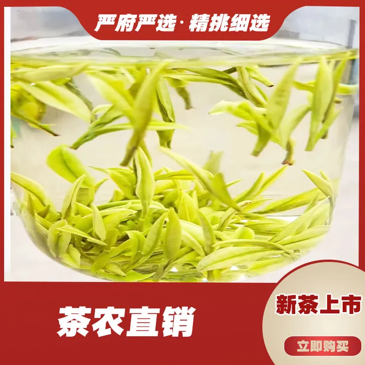 398奶白《2025年新茶》严府白茶茶厂严选好奶香味茶农