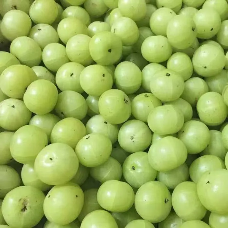 正宗油甘果油甘余甘子高山潮汕油甘滇橄榄孕妇水果橄榄果小众水果
