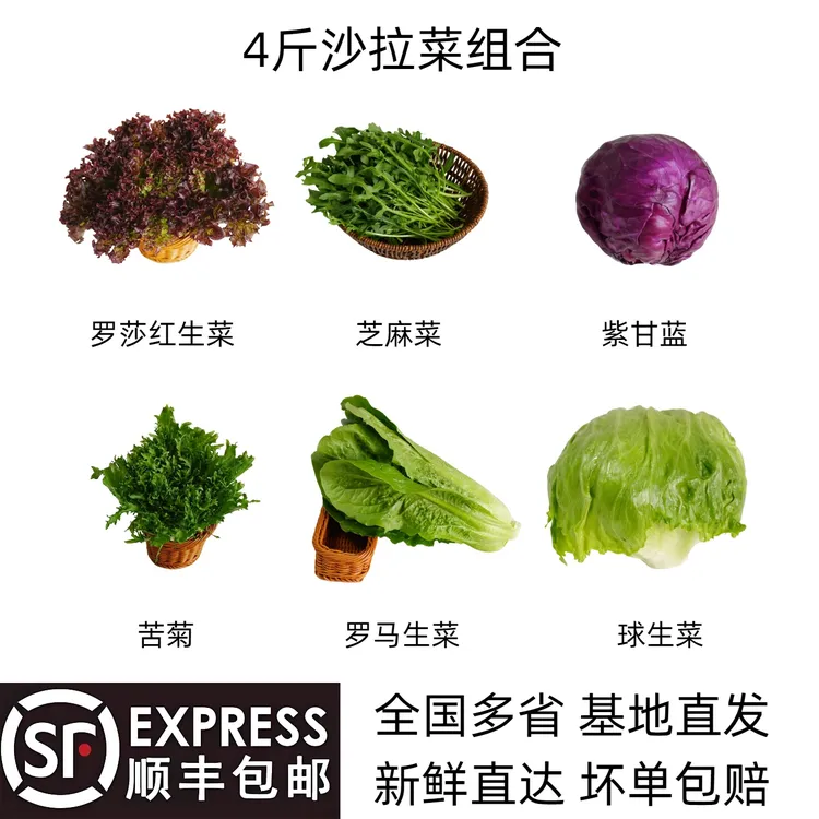 沙拉菜组合套餐（球生菜、罗马生菜、苦菊、罗莎红、紫甘蓝、芝麻菜）
