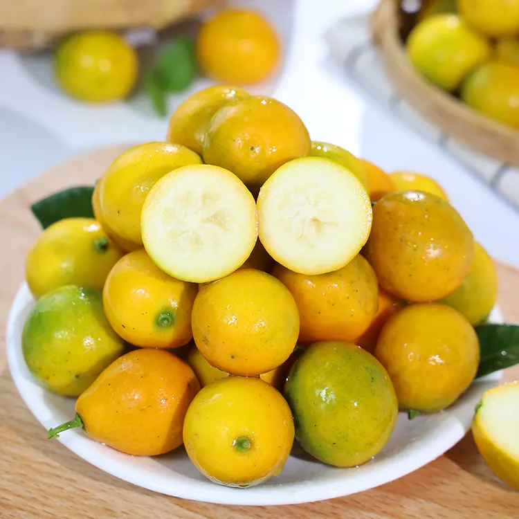 正宗广西滑皮金桔现摘新鲜水果新鲜水果独立包装无酸口感鲜甜多汁