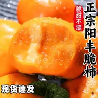 【牧疆山】阳丰巧克力脆甜柿子礼盒装应季新鲜水果脆甜硬柿子【京东】
