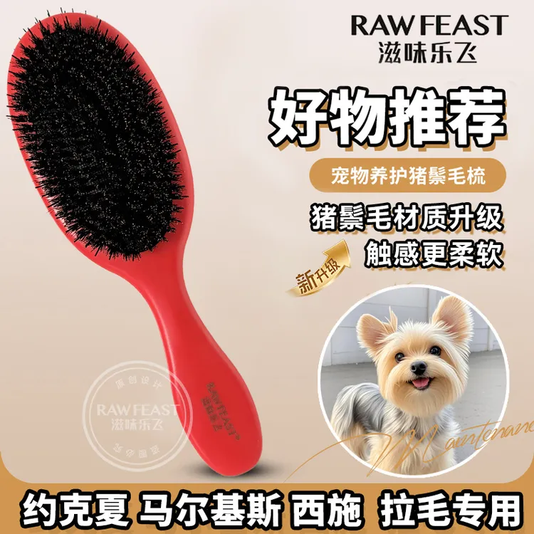 滋味乐飞狗狗猫咪日常拉毛猪鬃毛专业柄梳约马西猫咪专用