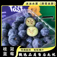 【四盒】[Y]枝冠18+蓝莓 盒/125g/共计500g