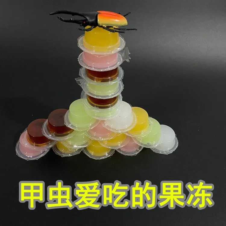 【同款低价】甲虫果冻独角仙锹甲饲料蛋白黑糖蚂蚁食物昆虫宠物用