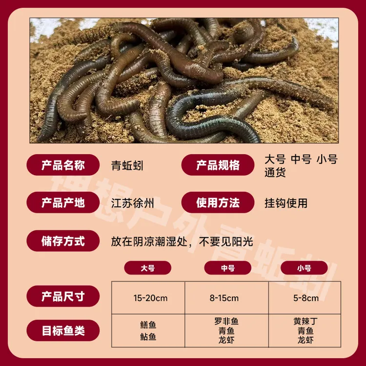 顺丰包邮青蚯蚓鲜活养殖基地活饵黄鳝鱼饵垂钓特臭