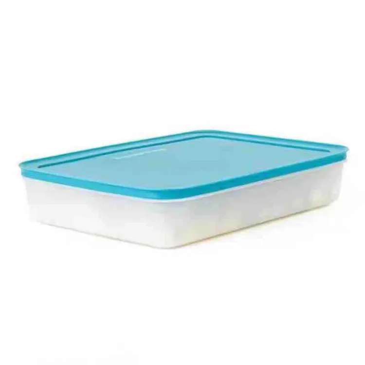 Tupperware/特百惠2.25L大容量雪影冷冻冷藏保鲜盒冰箱保鲜盒