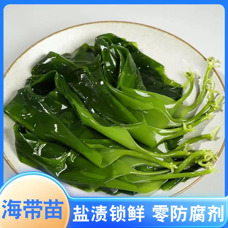 【9，9大包，量多管饱】霞浦盐渍海带苗鲜嫩爽滑营养凉拌火锅煲汤