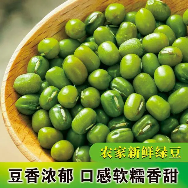 君悦曦东北绿豆易煮易沙新货农家五谷杂粮夏季解暑营养杂粮真空装