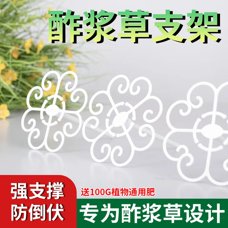 酢浆草专用防倒伏支架园艺固定支撑花架定型早花太阳花造型支撑架