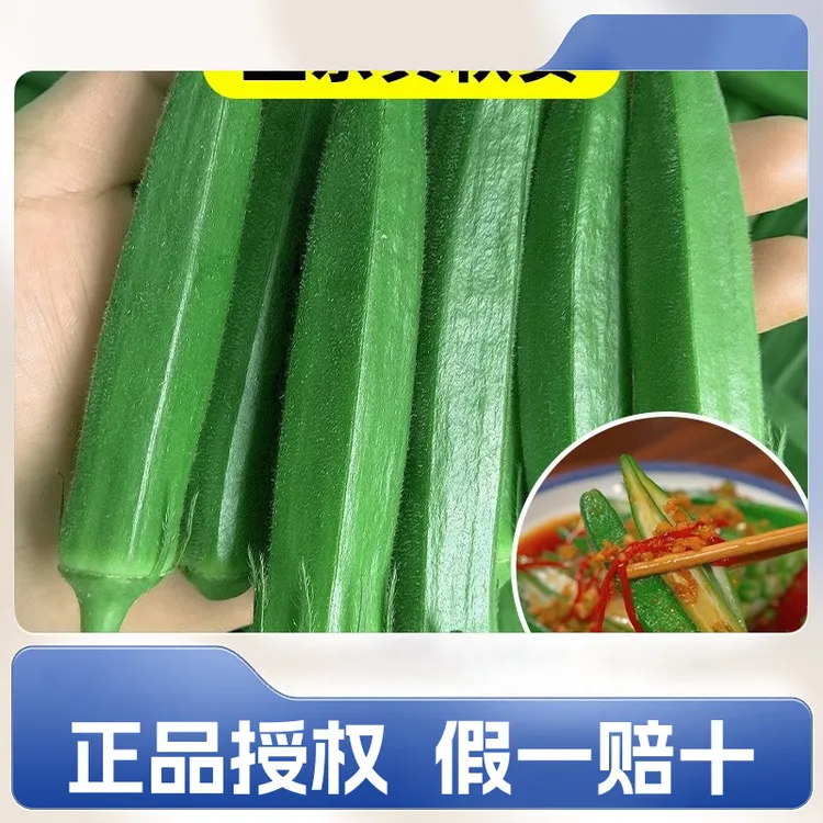 批发现摘水果秋葵福建黄秋葵【新鲜秋葵】当季羊角豆秋葵新鲜