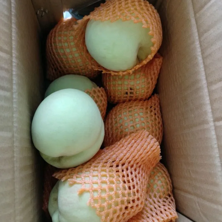 清江脆桃长阳产地直发脆蜜桃应季水蜜桃现摘现发香脆青甜鹰嘴桃