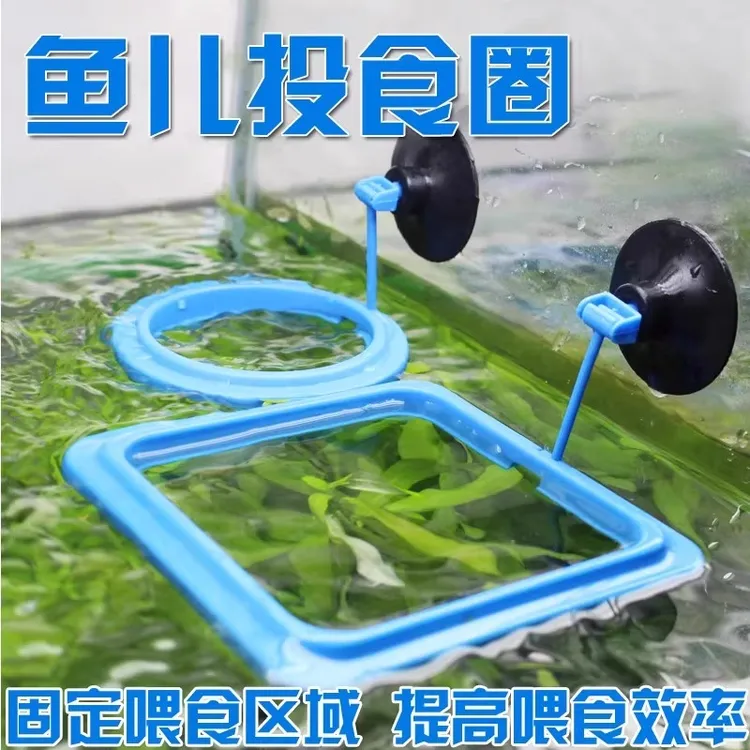 鱼缸喂食器喂鱼好物孔雀鱼漂浮喂食圈丰年虾投食器鱼食悬浮投喂器