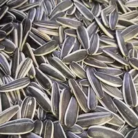 【买一斤送一斤】新货葵花籽原味炒熟瓜子大颗粒内蒙瓜子葵花籽饱满