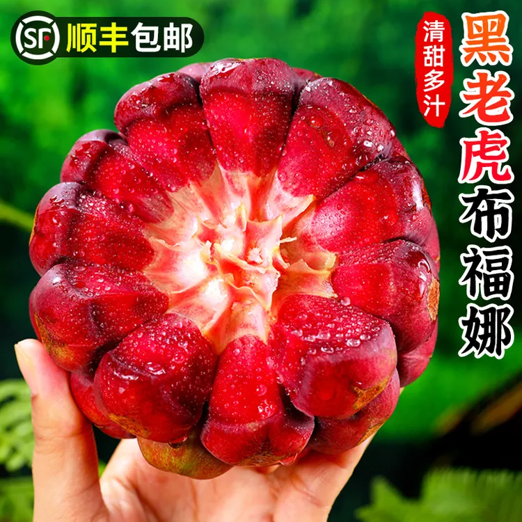 【顺丰包邮】黑老虎布福娜1-5斤恶魔果酒饭团血藤果水果香甜可口