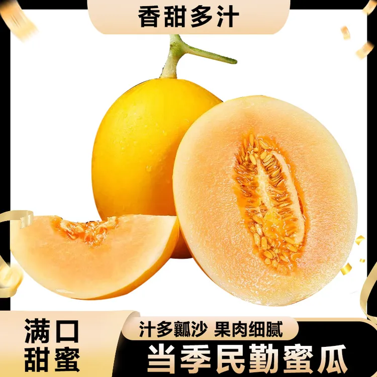 甘肃沙漠民勤蜜瓜软糯香甜阳光露天种植甜蜜多汁DW