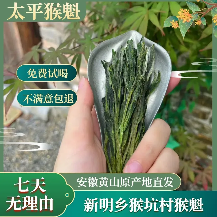 悟凌太平猴魁手工捏尖猴坑村绿茶明前特级高山云雾茶兰香甘甜250g