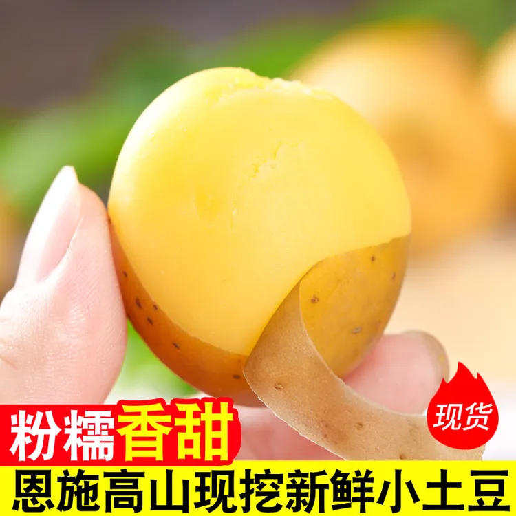 湖北小土豆现挖湖北新鲜黄心土豆3/5/9斤当季蔬菜迷你马铃薯洋芋