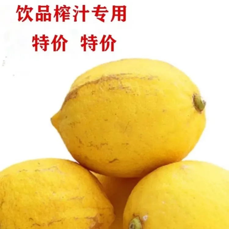 安岳黄柠檬四川安岳鲜果丑果新鲜多汁水果皮薄清新照片5斤装