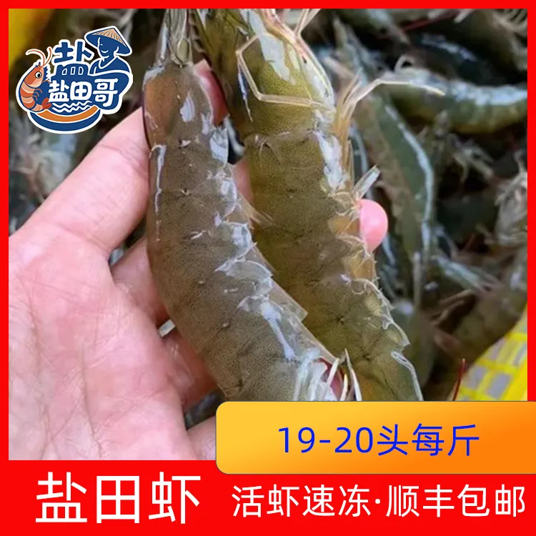 【买3斤送半斤】盐田哥盐田虾19-20头左右活虾速冻