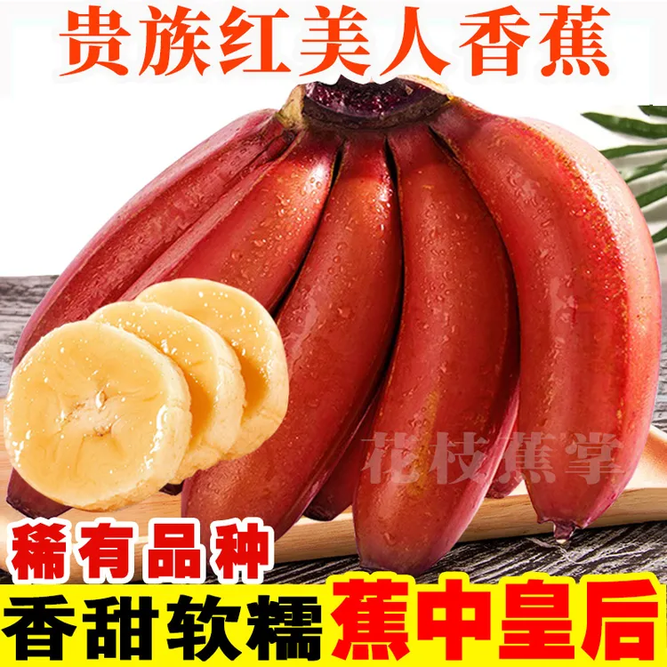 【珍稀水果】广西红美人香蕉美人蕉5斤/3斤/2斤现摘现发新鲜水果