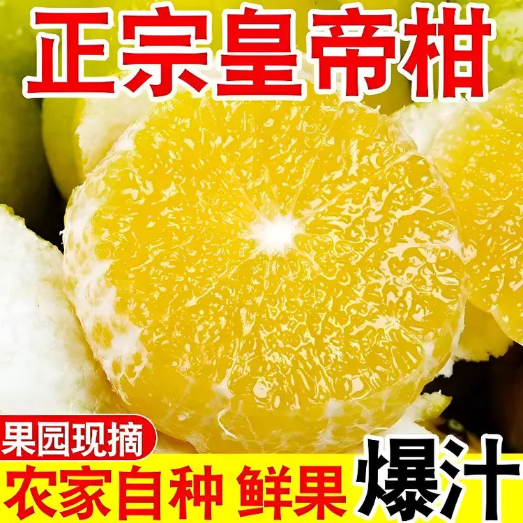 k广西皇帝柑贡柑正宗当季新鲜水果橘子桔子新鲜采摘坏果包赔