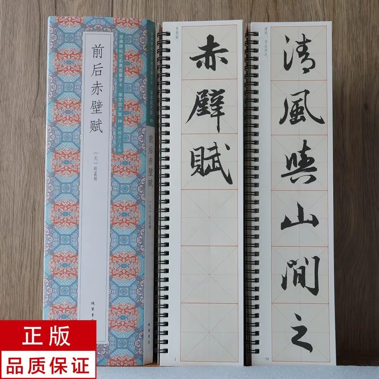 单字放大版赵孟頫行书前后赤壁赋2册 静文轩近距离临摹字帖