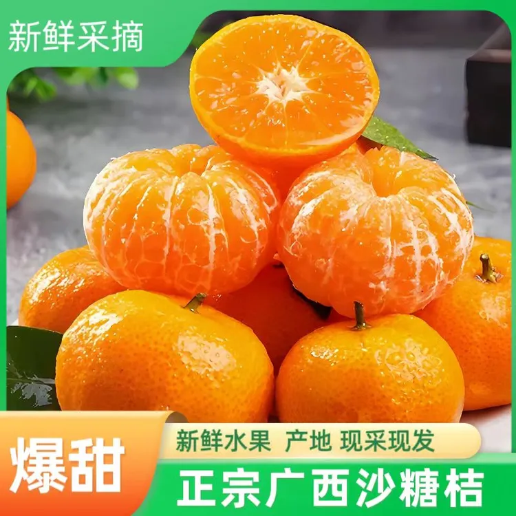 QD【2025正宗广西砂糖橘】当季新鲜采摘桂林地直发无籽沙糖桔橘子桔子