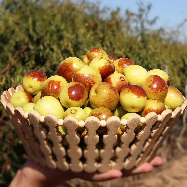 【品质冬枣】陕西大荔冬枣自家果园甄选冬枣