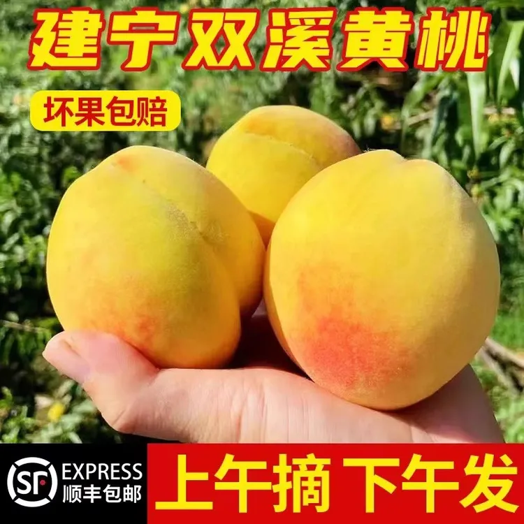 【顺丰发货】建宁双溪锦绣黄桃现采现发果园直发孕妇小孩都可食用