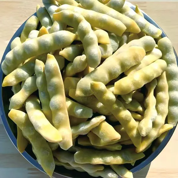 东北黄金钩冻芸豆  5斤 顺丰发货