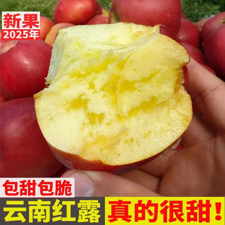 【辉辉精品】纯甜正宗云南昭通丑苹果冰糖心产地直发