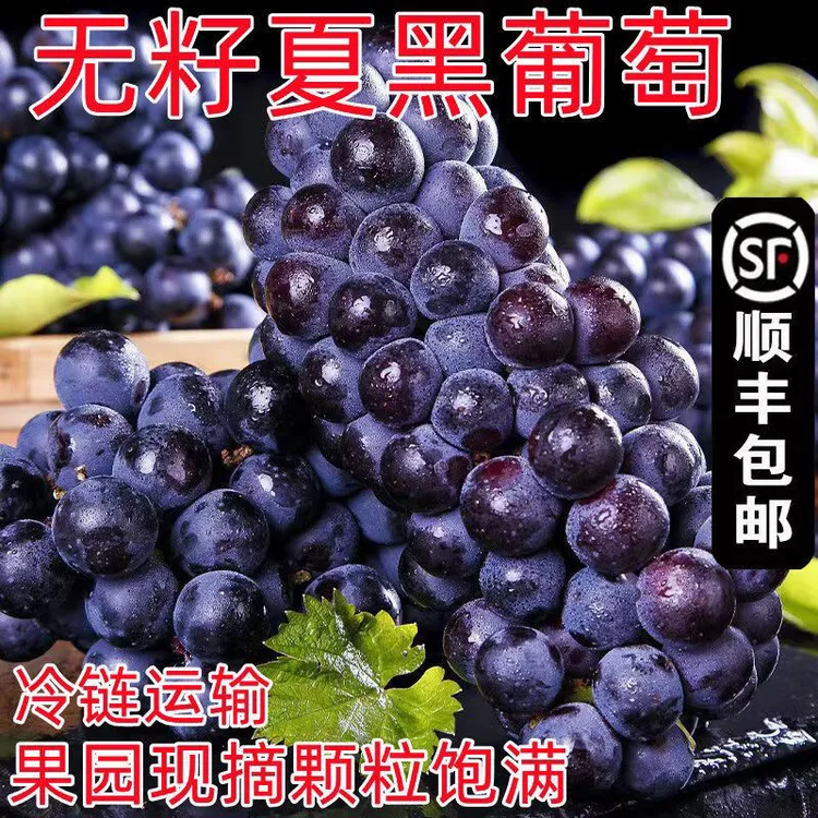 头茬现摘夏黑葡萄整串无籽孕妇新鲜水果提子巨峰青提玫瑰无籽精品