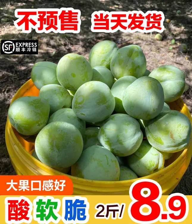 青李子新鲜水果应当季整箱时令高山青奈李软包邮