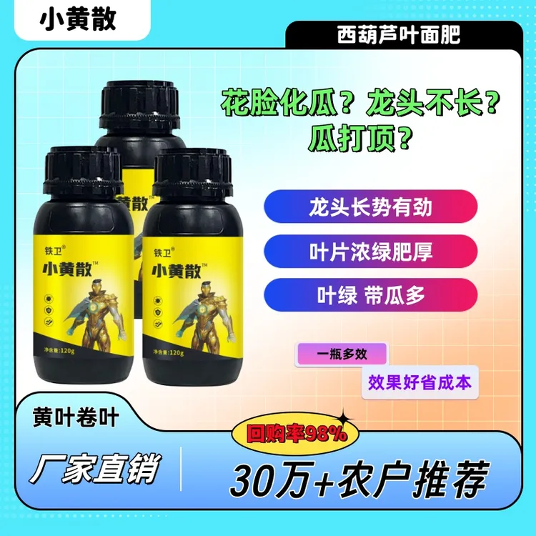 西葫芦 防黄叶化瓜 小黄散水溶肥 提龙头促生长  提高叶绿素含量