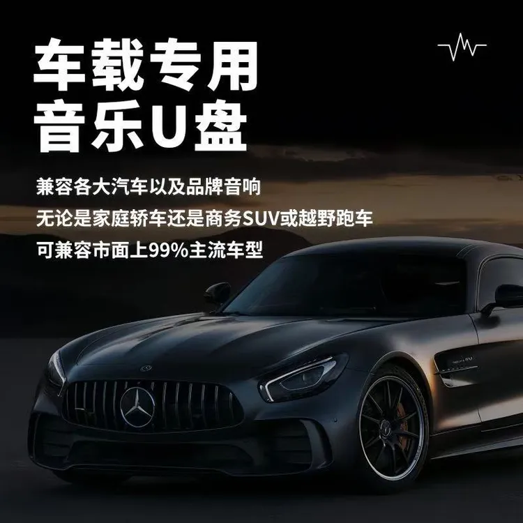 32G【一半DJ版一半柔情】经典DJ老歌1000首+柔情200首】100首画面